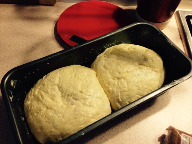 bread dough in a pan, ready to cook
